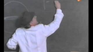 Los Pilotos Más Locos Del Mundo - Profesor Lungo - Francella.wmv