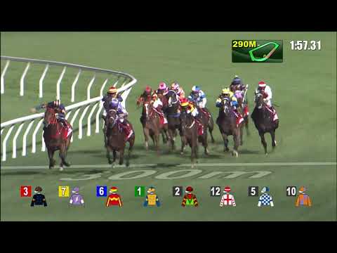 22/12/2021 (274) Above - J Moreira