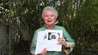 Secrets of the Land Chapters 4-5