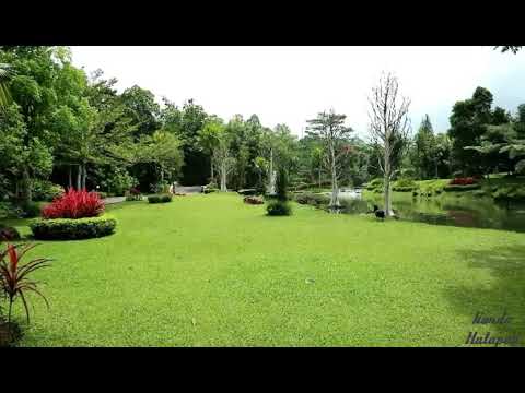 Just arround the corner (song jw broadcasting)