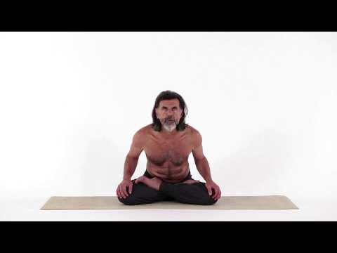 Cobra Gesture - Bhujangini Mudra