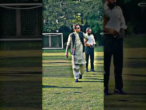 King shit Shubh reply 🔥😎 #imrankhan #maryamnawaz #viral #pti #shorts #trending #pti #patwari #replay