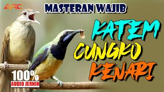 Download lagu MASTERAN  KAPAS TEMBAK - CUNGKOK - KENARI mp3 Download lagu MASTERAN  KAPAS TEMBAK - CUNGKOK - KENARI mp3