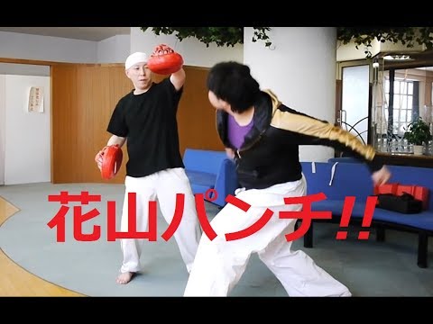 【花山パンチやってみた】ハヤテ流格闘技