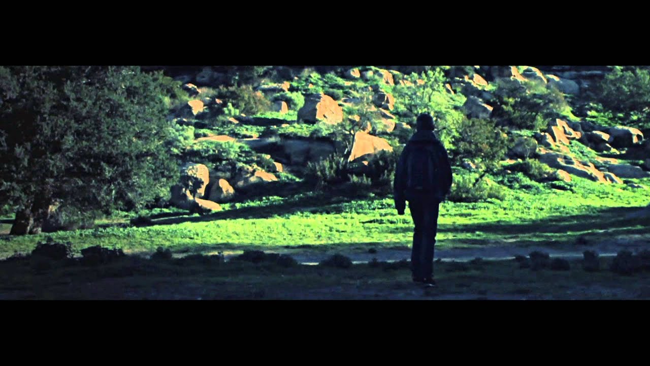 Hardwell ft. Amba Shepherd — Apollo