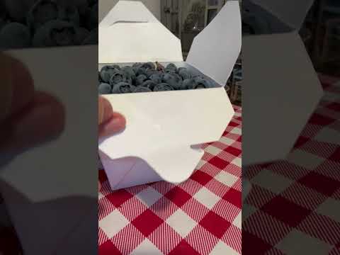 A Quart of Sweet Blueberries. Fresh Pick from the Farm. #satisfying #blueberryfarm #quart #shorts