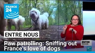 Paw patrolling: Sniffing out France's love of dogs • FRANCE 24 English