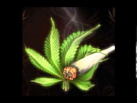 Šajeta - Trava doma mog