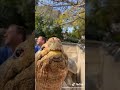 Oldest Tortoise In The World