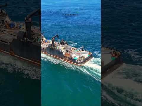 Thumbnail for Washington Salmon Season: Pacific Star Tender Near the San Juan Islands (DJI Mini 4)