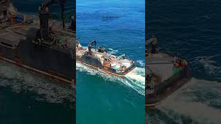 Washington Salmon Season: Pacific Star Tender Near the San Juan Islands (DJI Mini 4)