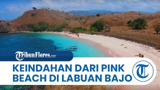 Menikmati Keindahan Pink Beach di Labuan Bajo, Suguhkan Hamparan Pasir Berwarna Merah Muda