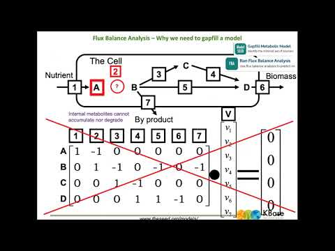 Building and Using Metabolic Models in KBase | 2021 EMSL Summer School