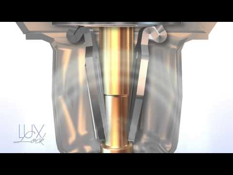 LuxLock 14kt Gold Earring Clutch System