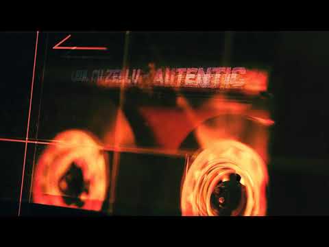 Leul cu Zellu - Autentic (Freestyle)