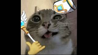 [GMS Kronos] 111k Bishop Destiny Kaling Clear