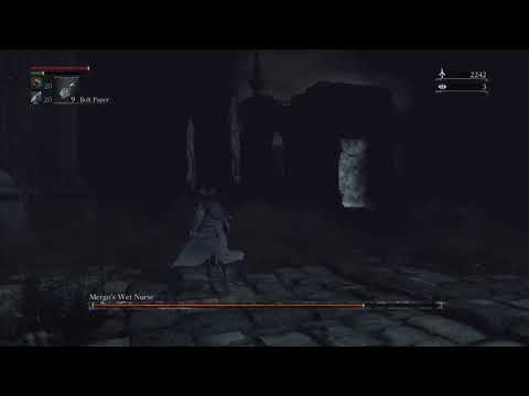 BL4 Mergos Wet Nurse Challenge Run (No Gun, Waste of Skin, No Leveling)