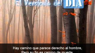 Miniatura del video: El versiculo del dia .com - Proverbios 16 v25