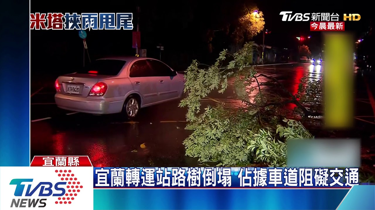 強風吹襲!基隆多處地方樹倒 汽車遭波及