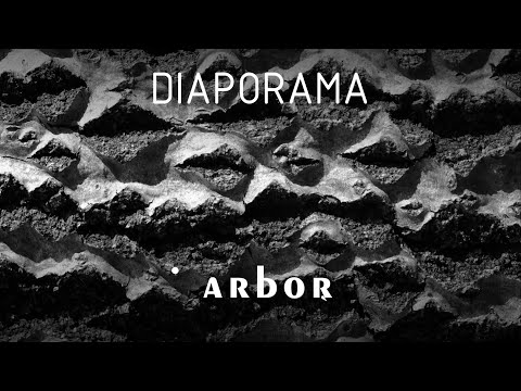 Diaporama // "Arbor"