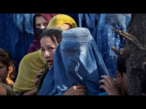 Ex-Amb. Neumann Calls Afghanistan Exit 'Miserable Disaster'