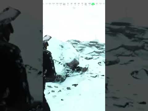 BEST WEAPON COMBO | VIGOR