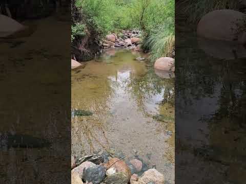 Arroyo Villa Elena Cortaderas San Luis Argentina #sanluis #cortaderas #argentina #travel #nature