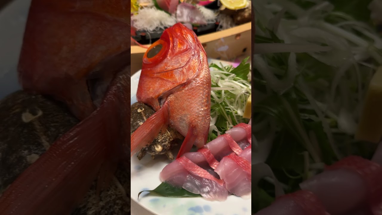 春休み旅行🌸　まりちゃんいずちゃんチャンネル　#shorts #旅行