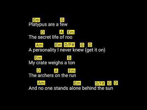 Black Summer (by Red Hot Chili Peppers) chords & lyrics