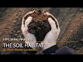 The Soil Habitat - Exploring Habitats