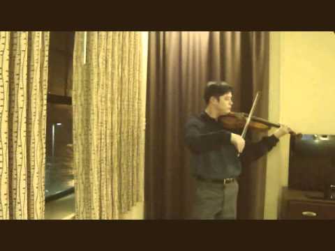 Phoenix At Night by Merrily Rosso Philip Lippman Violin