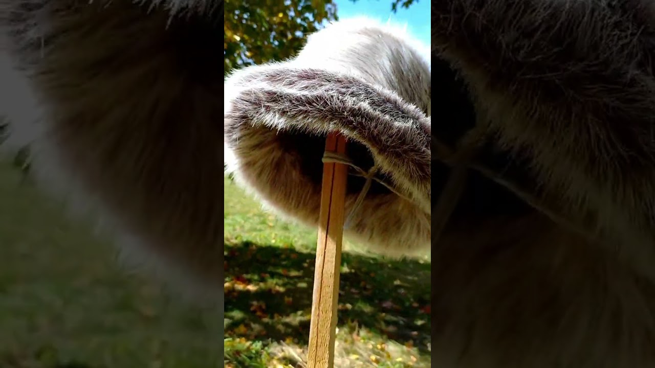 Brown-gray faux fur bucket hat.  Cute fuzzy bucket hats. Fluffy warm hats. #furhat #hat #fauxfur