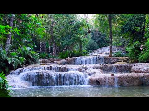 Beautiful Cascade Waterfall in Thailand Nature 4k. Flowing Water Sounds, White Noise for Sleeping.