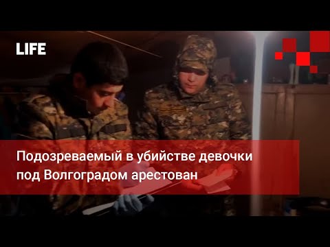 Подозреваемый в убийстве девочки под Волгоградом арестован