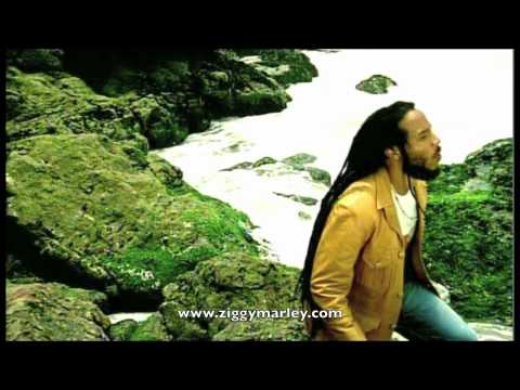 Ziggy Marley - "Love is My Religion" | Official Music Video