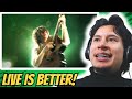 ARTIST REACTS Marcin Carmen Habanera On Guitar Live In Japan