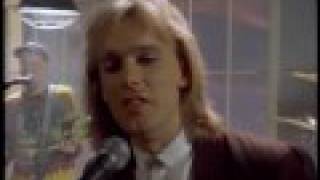 Cheap Trick If You Want My Love Video