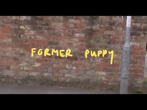 Former Puppy - Personal Trainer