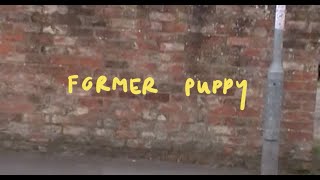 Personal Trainer – “Former Puppy”