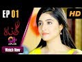 Gunnah EP 1 Aplus Sara Elahi Shamoon Abbasi Asad Malik Pakistani Drama C3M1