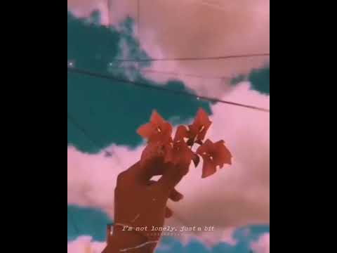 *"SUGAR CRASH"* remix with video