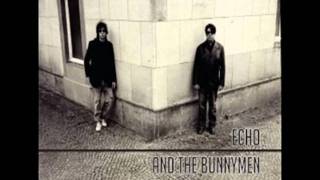 echo &amp; the bunnymen   -   monkeys