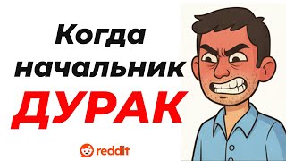 Мы с вами одна семья / Премия вместо отпуска (Истории с работы # 1)