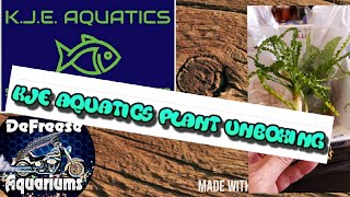 KJE Aquatics Plant Unboxing