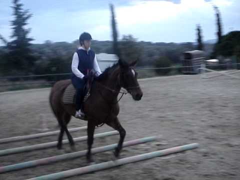 kurs jizdy na koni v recku