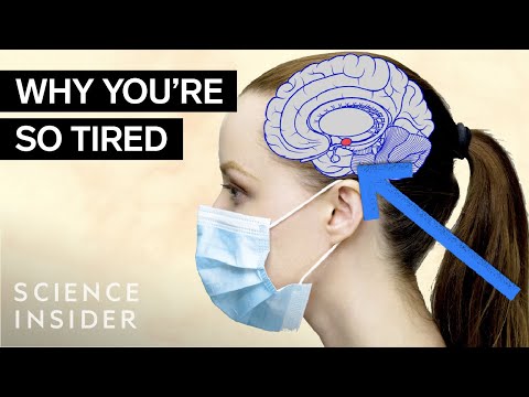 冠狀病毒的壓力對你的大腦和身體有什麼影響？ (What Coronavirus Stress Is Doing To Your Brain And Body)