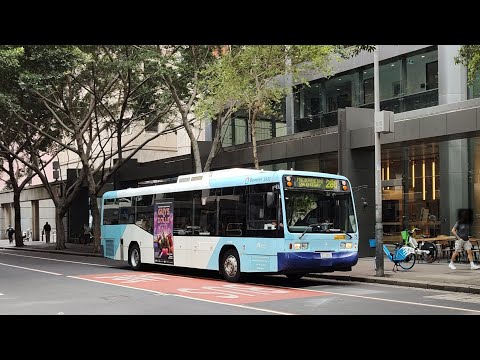 Busways Scania L113CRL m/o 3833 at Wynyard