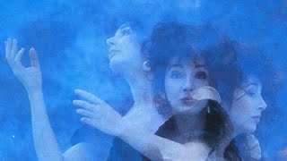 Kate Bush - Lord of the Reedy River
