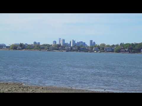 Wollaston Beach Area