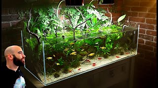 Making a Self Balancing Ecosystem Aquarium From Start To Finish (Minisode)